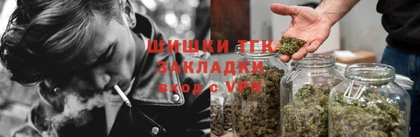 ПСИЛОЦИБИНОВЫЕ ГРИБЫ Переславль-Залесский