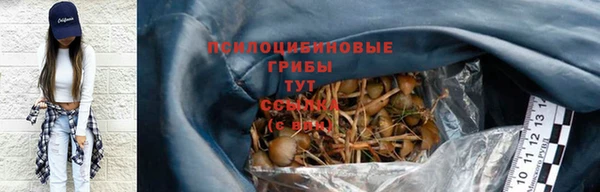 дурь Армянск